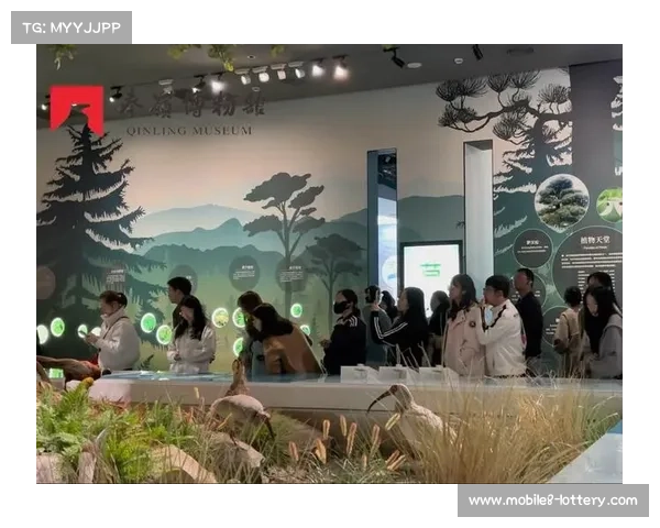 U15世锦赛球员将走进秦岭博物馆体验当地文化